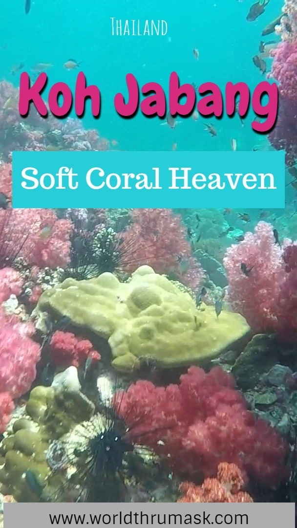 Koh Jabang Soft Corals Pin