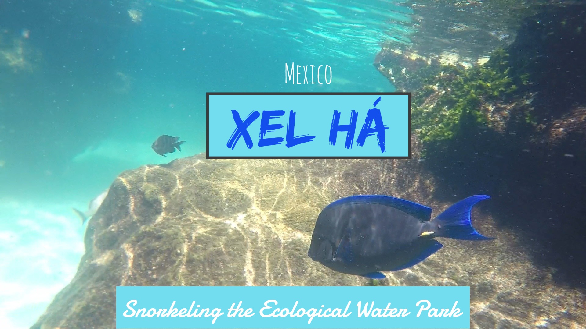 Xel Ha site