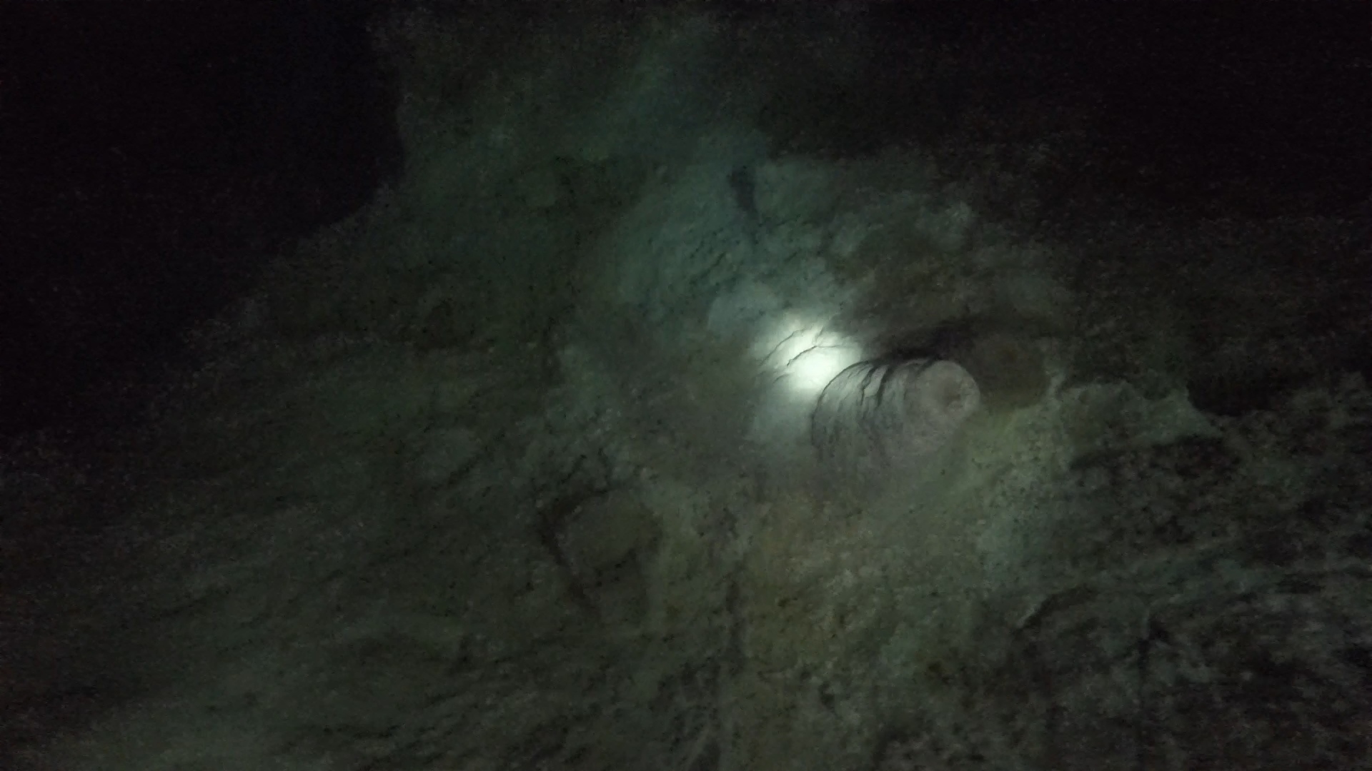 bat cave stalagmites 01